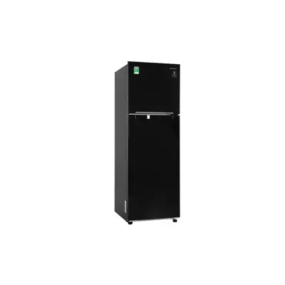 Tủ lạnh Samsung Inverter 256 lít RT25M4032BU/SV