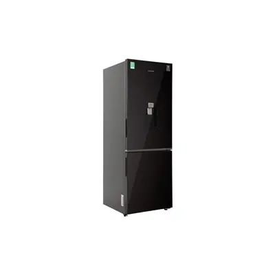 Tủ lạnh Samsung Inverter 307 lít RB30N4190BY/SV