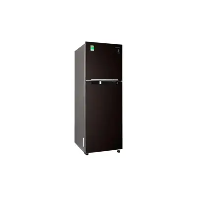 Tủ lạnh Samsung Inverter 236 lít RT22M4032BY/SV