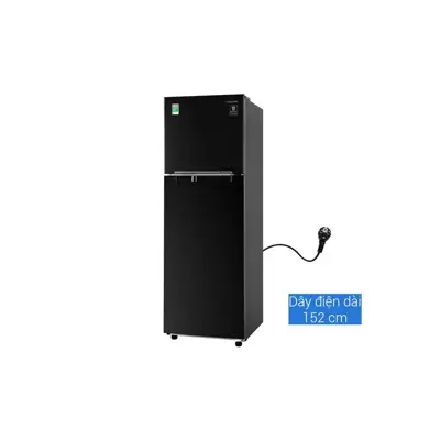 Tủ lạnh Samsung Inverter 256 lít RT25M4032BU/SV