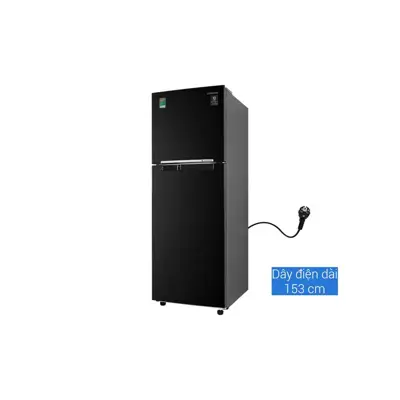 Tủ lạnh Samsung Inverter 236 lít RT22M4032BU/SV