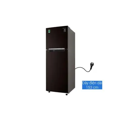 Tủ lạnh Samsung Inverter 236 lít RT22M4032BY/SV