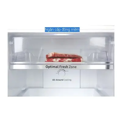 Tủ lạnh Samsung Inverter 236 lít RT22M4032BY/SV